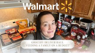 Under $300 Family of 3 WALMART GROCERY HAUL