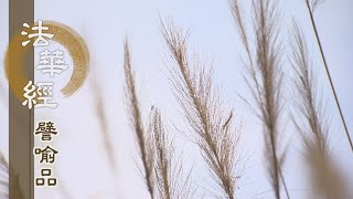 【靜思妙蓮華】法華經譬喻品 - 善法如水 轉大法輪 - 20200929 第486集