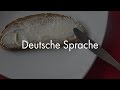 Немецкий язык? Сейчас объясню!