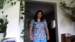 L Smith Nurse Mentoring Program presentation