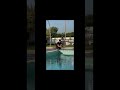 chill Time #pool #followforfollowback #love #enjoy