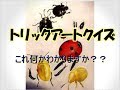 【衝撃】錯覚を起こす驚きのトリックアート！子どもしかわからない超リアルな騙し絵 10選まとめ【だまし絵、トリックアート】