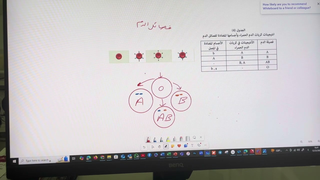 فصائل الدم