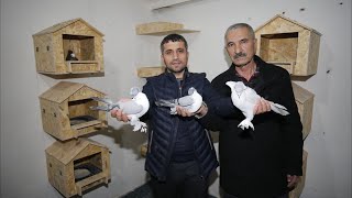 Efsane Mezat Başlıyor