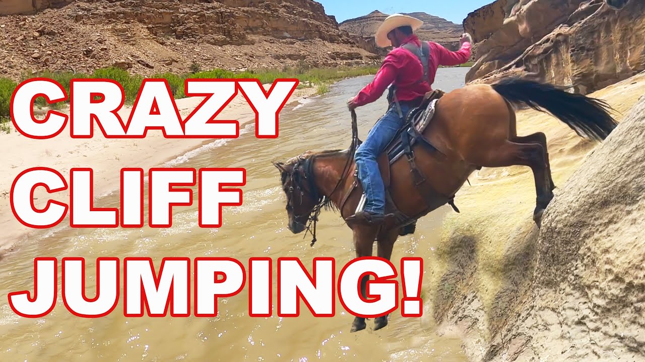 Исследуем сумасшедшую страну! Путешествие с гремучей змеей, часть 2