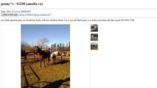 Craigslist for dummies 1