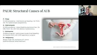 Perimenopause in Practice: Clinical Confidence for Providers. Session 2