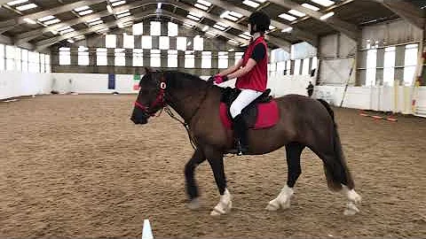 Helena Burgess on Butter up, class 19 grade 1-6 wa...