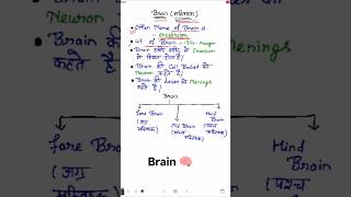 Important points of Brain # shorts #cbse12thbiology #exam #biology