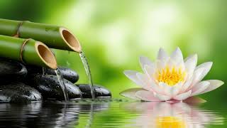 Soothing Healing Melodies – Relaxing Piano and Water Harmony Flow for Sleep and Peace