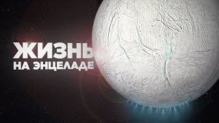 Жизнь на ЭНЦЕЛАДЕ | Такое возможно?