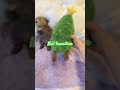 Christmas nails transition! 🌲