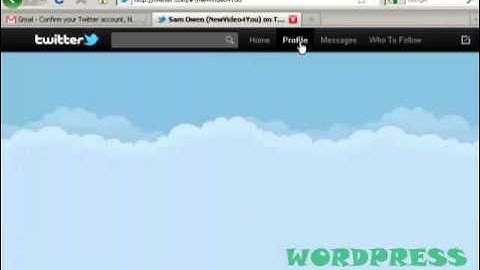 Video 8   How To Setup And Optimize Your Twitter Account