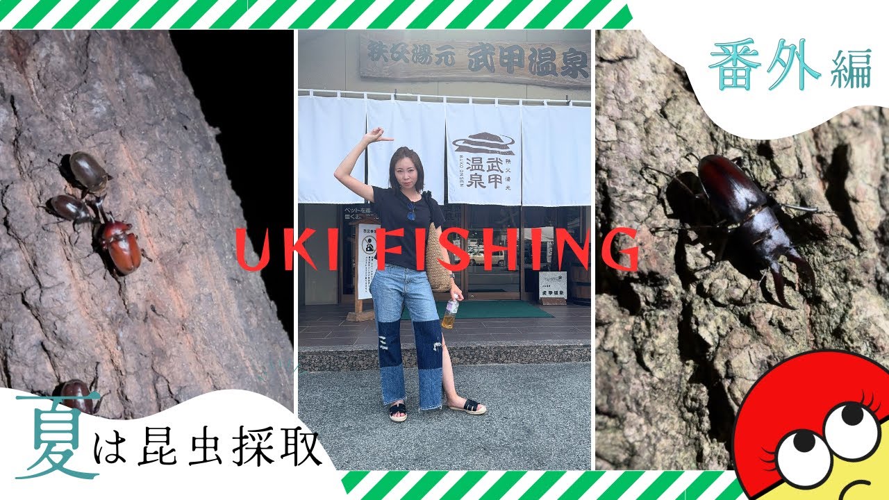 【捕まえた分だけ】カブトムシ&クワガタ　 カブトムシ／クワガタ採集体験】夏季限定！カブトムシ・クワガタが