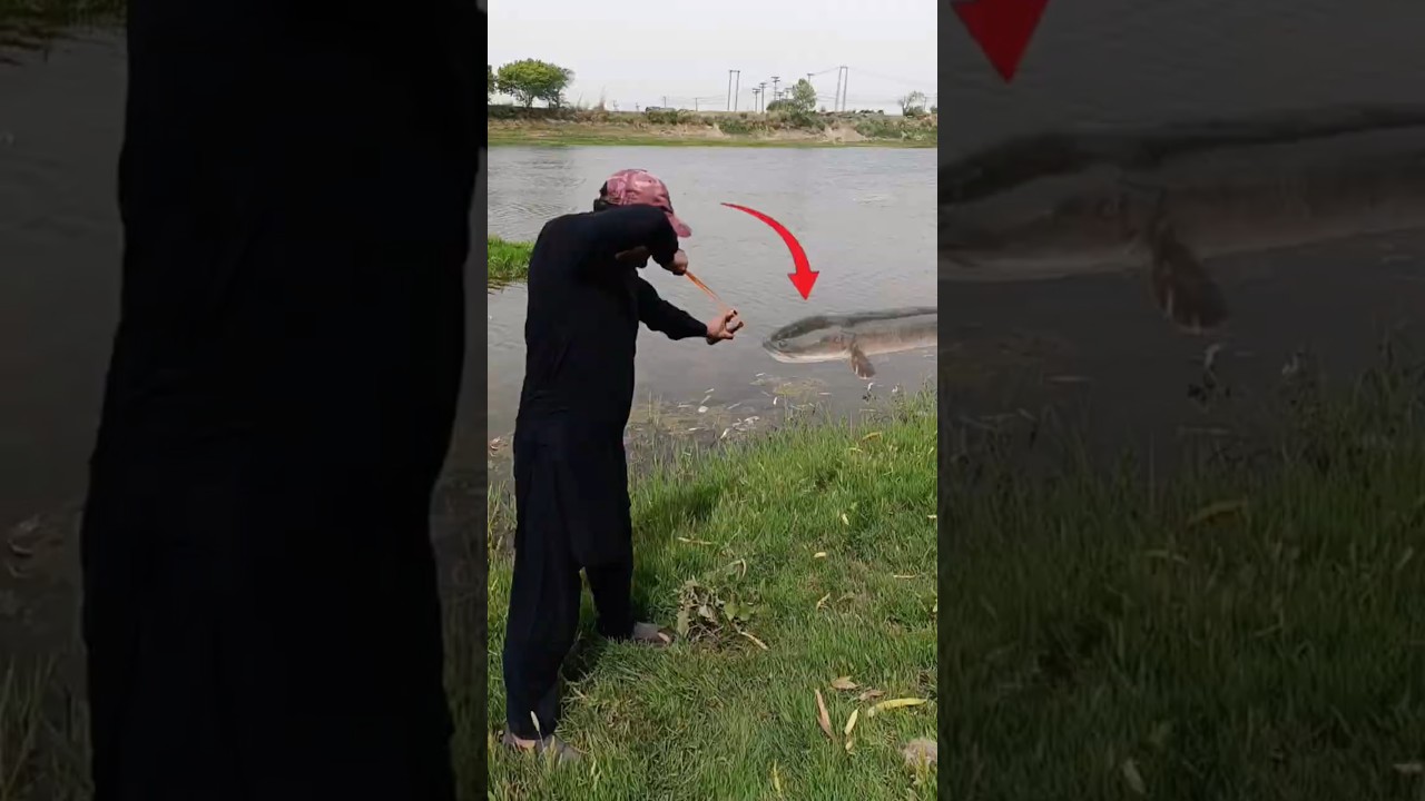 slingshot fishing target shooting skill 🎯 