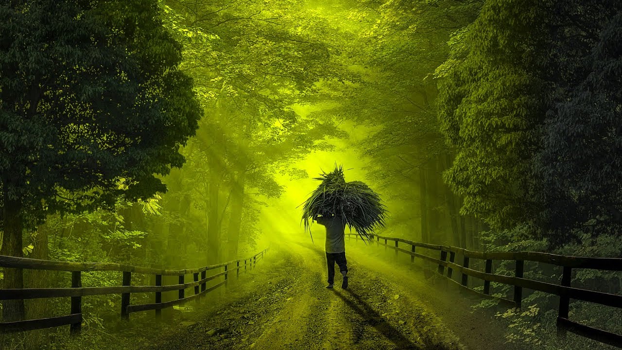 Meditations Morning Time ||Full of positive energy Energy 