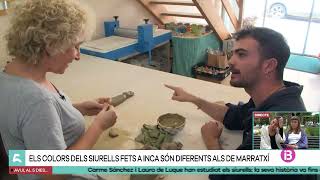L'única mestra siurellera d'Inca