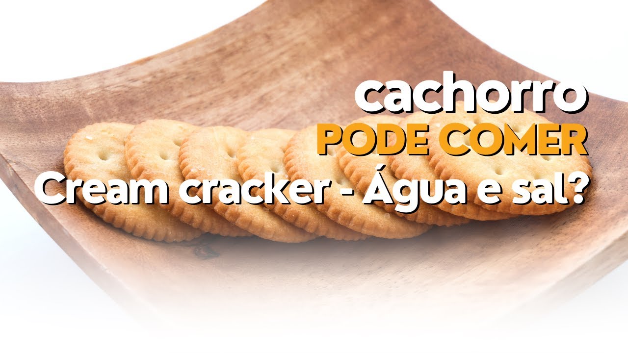 Cachorro pode comer bolacha cream cracker? | Cachorro pode comer ...
