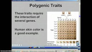 Polygenic Inheritance Examples In Plants