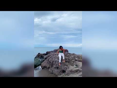 Miniature de la vidéo