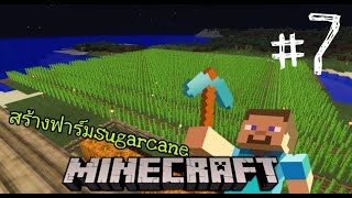 มายคราฟ 1.16.1: สร้างฟาร์มsugarcaneขนาดเกือบใหญ่ sugarcane farm #7 | Minecraft เอาชีวิตรอด