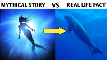 5 mythological creatures: their real life existence explained scientifically