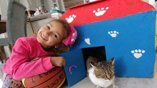 Kedicik Alinanın evini getirdik.Eski evden oyuncakları getirmeye devam ediyoruz.