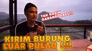 CARA KIRIM BURUNG ANTAR PULAU YANG AMAN DAN MURAH | KENARI | CRV MEDIA