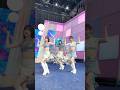 🫧 #SugarBomb ⊹ ̊+ #AYANE #RAN #KEIKO #ME_I #ミーアイ #미아이  #ME_I_MIRAI