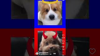 Lao, ten bao yo jinsan jin so bekwan janghu lok futowsan chenduya.. lao