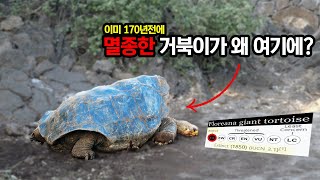 갈라파고스 거대 땅거북에 대한 이야기