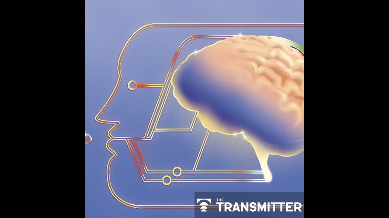 Why we need basic science to better understand the neurobiology of psychedelics