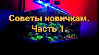 :  .  1.