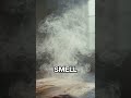 Small scent, big shift #happiness #sciencefacts #moodboost