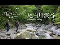 【トレッキング】新緑の尾白川渓谷を歩く癒しの時間｜Hiking Ojiragawa Valley with NikonZ 6ll