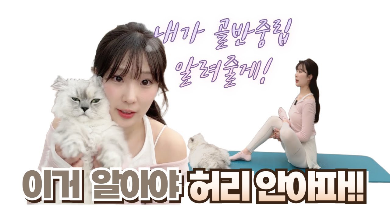 집사 필라테스 강사의 허리 편해지는 홈트 | 디스크도 가능한 골반중립 & 브릿지