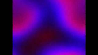 Rosenzweig - MacArthur 2D N128 T1000