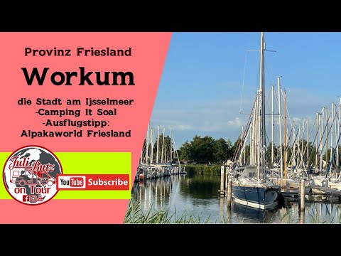 spruch camping Wohnmobil Spruch Shirt Herren Jeden Tag gute Fahrt Camper  Vivalabavaria