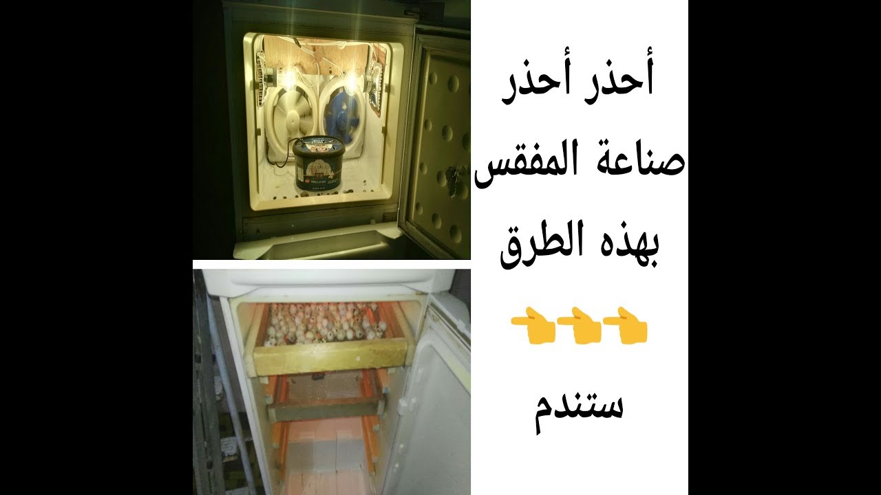 احذر صناعة الفقاسه بهذه الطرق لأنك ستحكم على نفسك بالخساره الفادحه ..شاهد بنفسك