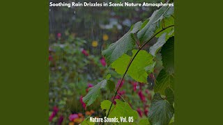 Agonizing Light Rain Aftermath