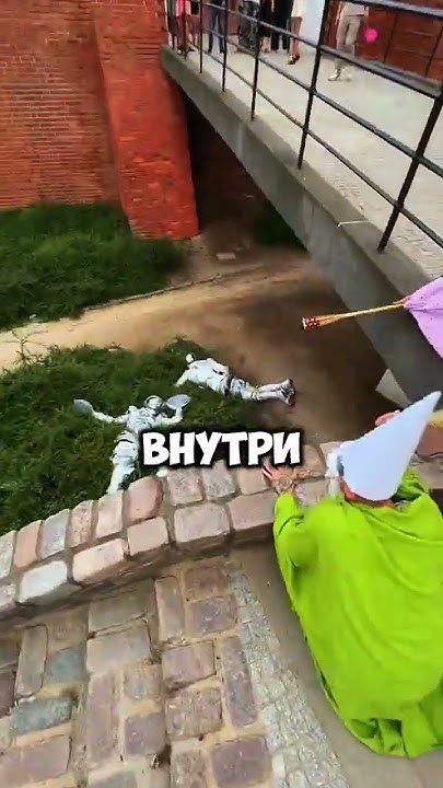 гномы что-то задумали #гномы #memes #gnome #юмор #gnomo #мем #гном # ...