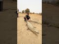 PASSENGER PARAMVIR IN AFRICA (Burkinafaso)🇧🇫 #travel #youtubeshorts #yatridoctor #paramveer #africa
