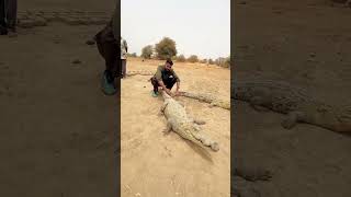 Penger Paramvir In Africa Burkinafaso