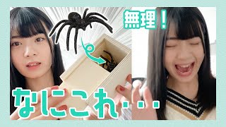 プレゼント開けたら虫が入ってたんだけど…