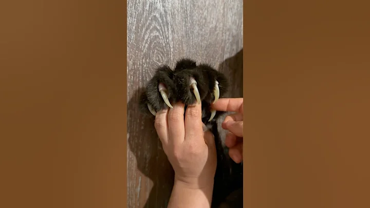 Оn the claws / off the claws 😂