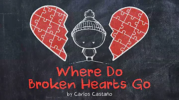 Carlos Castaño - WHERE DO BROKEN HEARTS GO || Animated Lyric Video by Ella Banana