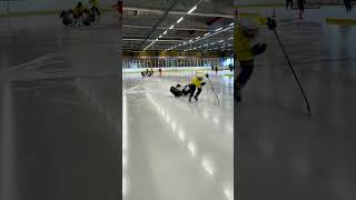 Intensive summer hockey camp Sweden Malmo 7/2023