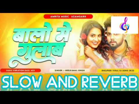 Baalon Me Gulab Lofi Song - Slowed+Reverb | Neelkamal Singh | Baalon Me Gulab Laga Lijiye Lofi Song