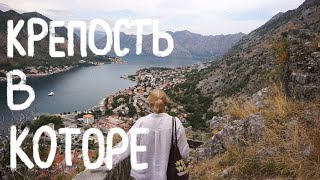 Крепость в Которе | бесплатная тропа | заметки волонтёра