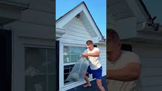 Wasp Nest Removal  Accident #funnyvideo #funny